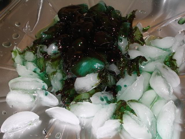 Melting-Sugar-Food-Art-Experiment-019