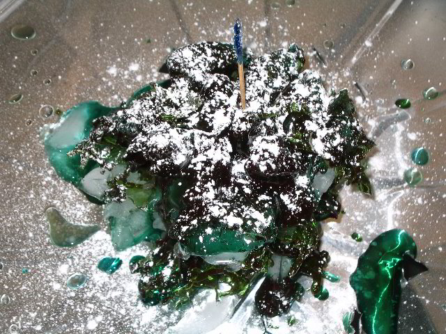 Melting-Sugar-Food-Art-Experiment-023