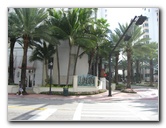 Miami-City-Tour-002