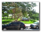 Miami-City-Tour-035