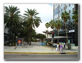 Miami-City-Tour-087