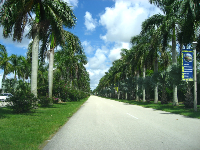 Miami-MetroZoo-Pictures-001