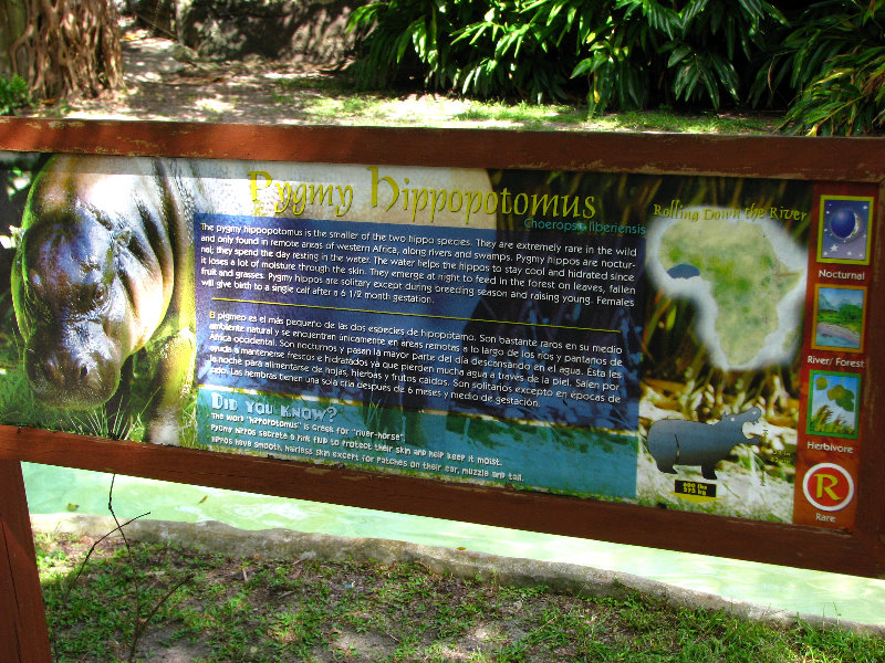 Miami-MetroZoo-Pictures-052