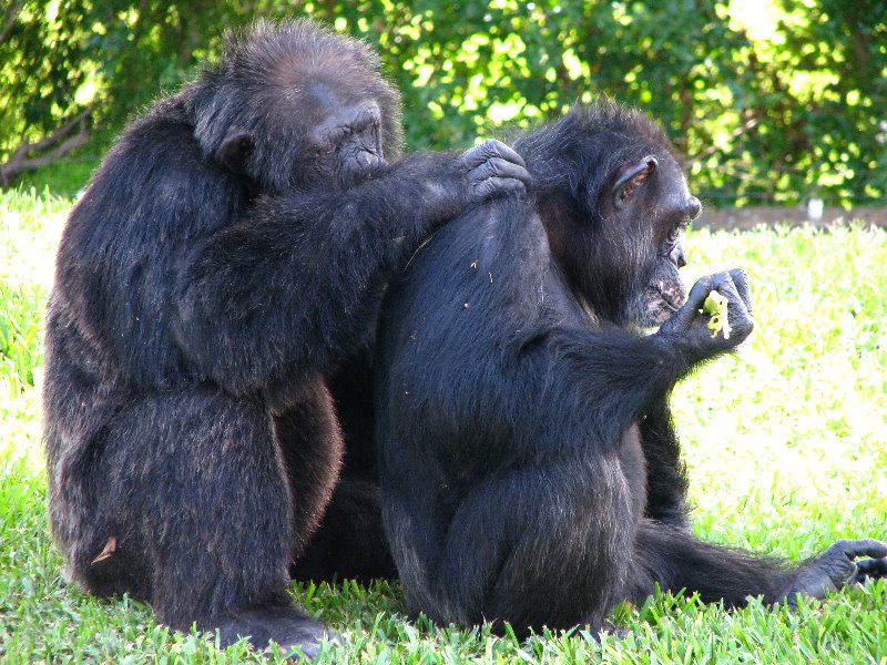 Miami-MetroZoo-Pictures-054