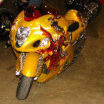 2008 Miami Motorcycle Salon Pictures & Video