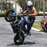Team 1 AllStars Sportbike Motorcycle Stunt Show Pictures