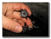 Mini-Cooper-Front-Turn-Signal-Light-Bulbs-Replacement-Guide-012