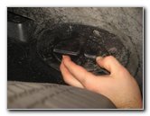 Mini-Cooper-Front-Turn-Signal-Light-Bulbs-Replacement-Guide-020