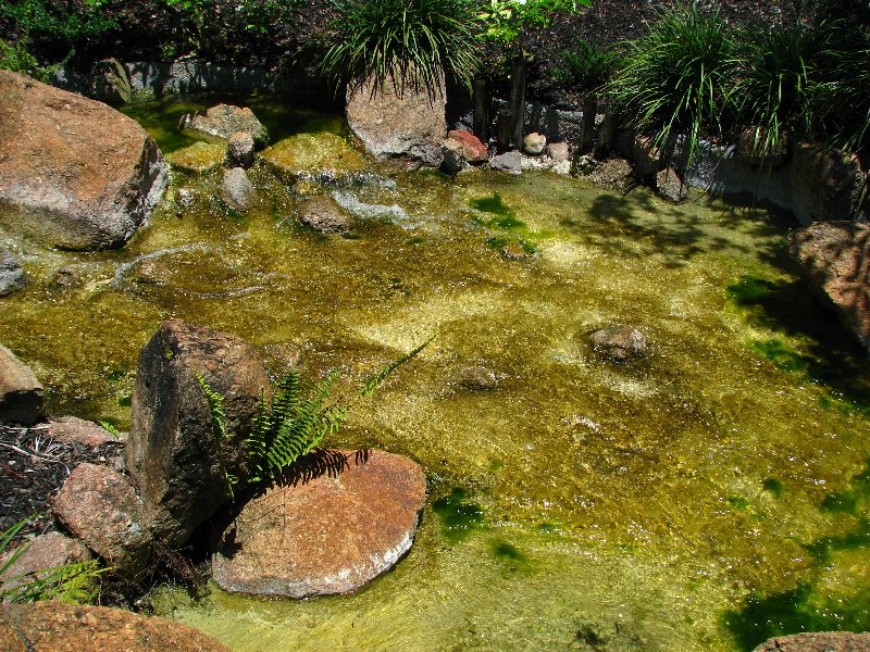 Morikami-Museum-Japanese-Gardens-Delray-Beach-FL-029