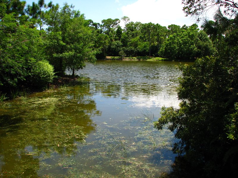 Morikami-Museum-Japanese-Gardens-Delray-Beach-FL-074