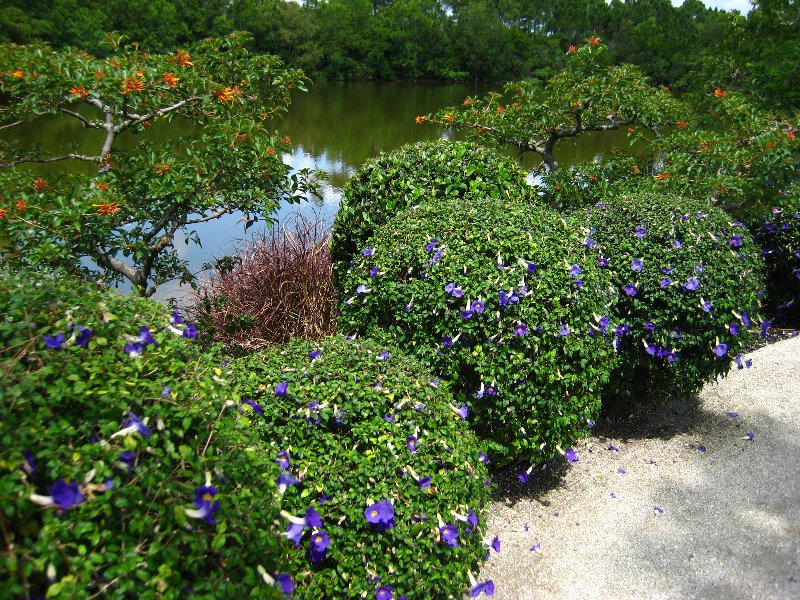 Morikami-Museum-Japanese-Gardens-Delray-Beach-FL-112