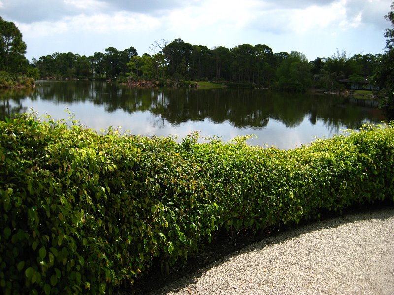 Morikami-Museum-Japanese-Gardens-Delray-Beach-FL-132