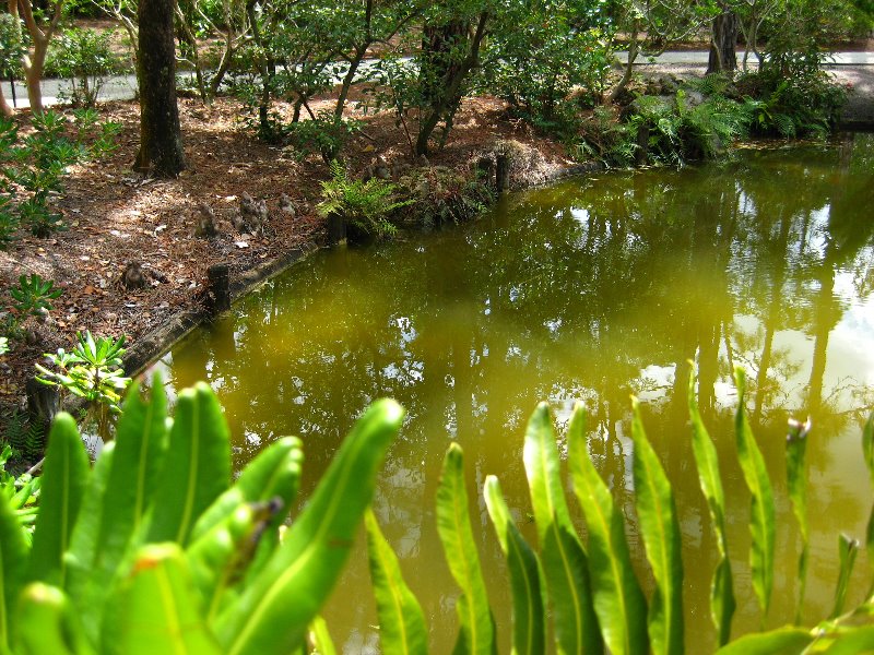 Morikami-Museum-Japanese-Gardens-Delray-Beach-FL-138