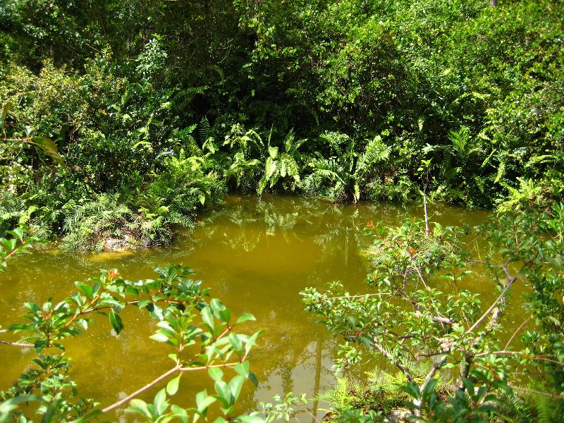 Morikami-Museum-Japanese-Gardens-Delray-Beach-FL-142