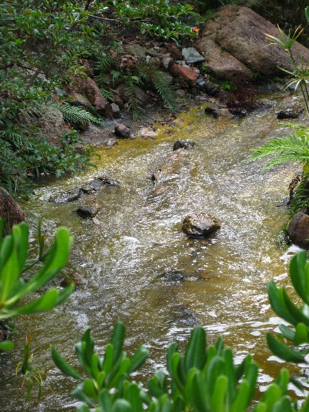 Morikami-Museum-Japanese-Gardens-Delray-Beach-FL-164