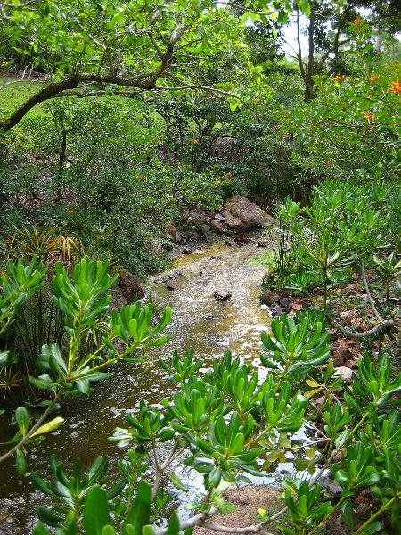 Morikami-Museum-Japanese-Gardens-Delray-Beach-FL-165