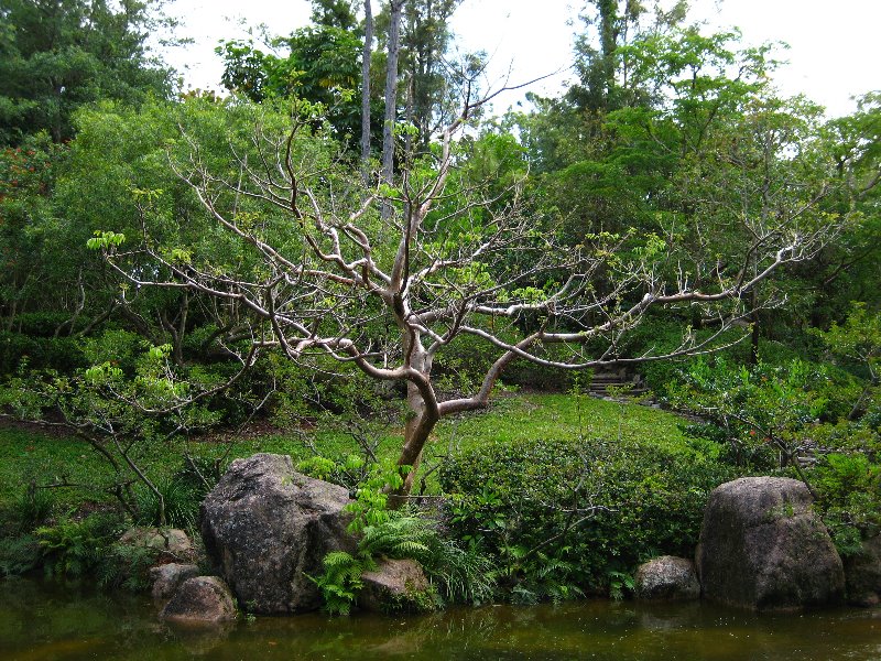 Morikami-Museum-Japanese-Gardens-Delray-Beach-FL-172