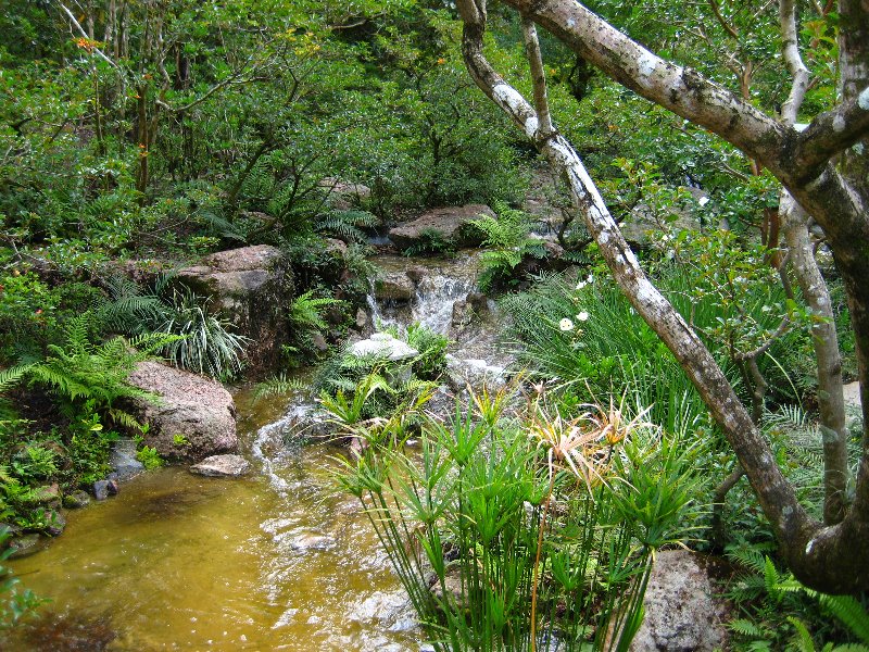 Morikami-Museum-Japanese-Gardens-Delray-Beach-FL-177