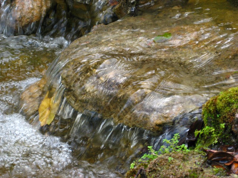 Morikami-Museum-Japanese-Gardens-Delray-Beach-FL-182