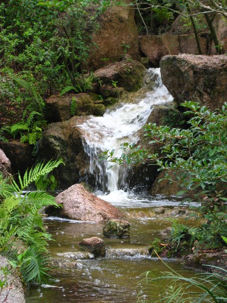 Morikami-Museum-Japanese-Gardens-Delray-Beach-FL-183