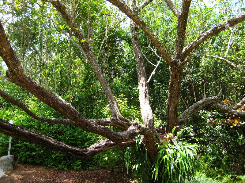 Morikami-Museum-Japanese-Gardens-Delray-Beach-FL-208