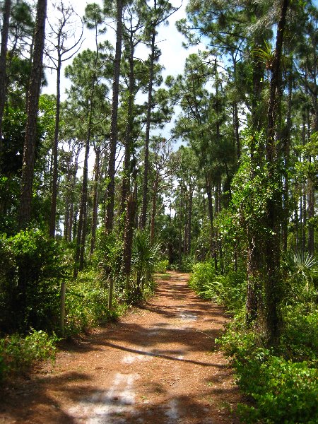 Morikami-Museum-Japanese-Gardens-Delray-Beach-FL-213