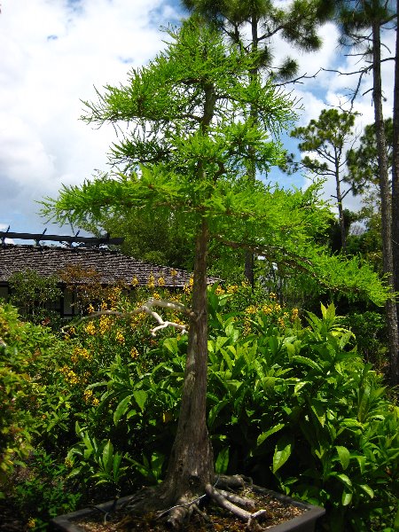 Morikami-Museum-Japanese-Gardens-Delray-Beach-FL-233