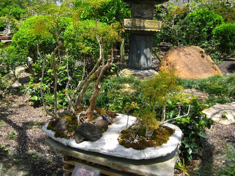 Morikami-Museum-Japanese-Gardens-Delray-Beach-FL-235