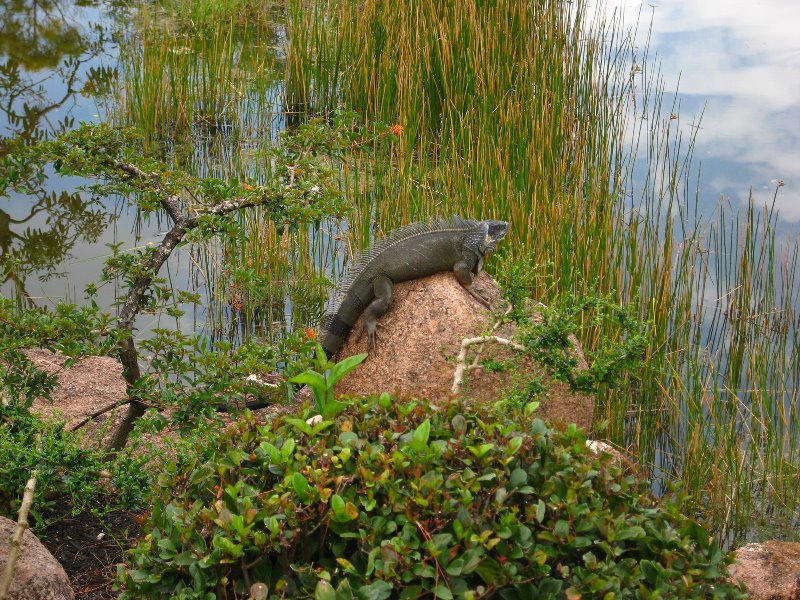 Morikami-Museum-Japanese-Gardens-Delray-Beach-FL-268