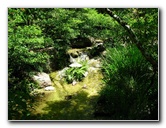 Morikami-Museum-Japanese-Gardens-Delray-Beach-FL-057