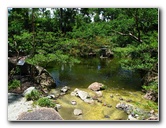Morikami-Museum-Japanese-Gardens-Delray-Beach-FL-059