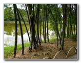 Morikami-Museum-Japanese-Gardens-Delray-Beach-FL-129