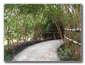 Morikami-Museum-Japanese-Gardens-Delray-Beach-FL-134