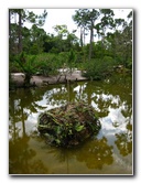 Morikami-Museum-Japanese-Gardens-Delray-Beach-FL-137