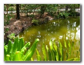 Morikami-Museum-Japanese-Gardens-Delray-Beach-FL-138