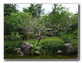 Morikami-Museum-Japanese-Gardens-Delray-Beach-FL-172