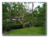 Morikami-Museum-Japanese-Gardens-Delray-Beach-FL-178