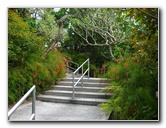 Morikami-Museum-Japanese-Gardens-Delray-Beach-FL-193