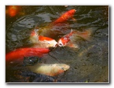 Morikami-Museum-Japanese-Gardens-Delray-Beach-FL-250