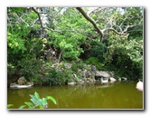 Morikami-Museum-Japanese-Gardens-Delray-Beach-FL-252