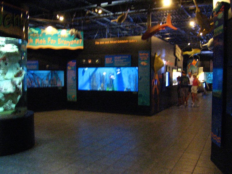 Mote-Marine-Aquarium-Sarasota-FL-005