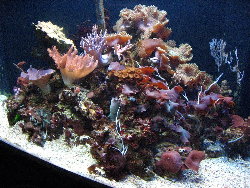 Mote-Marine-Aquarium-Sarasota-FL-012