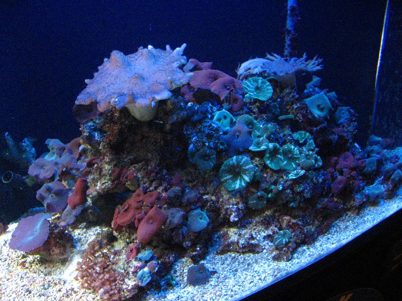 Mote-Marine-Aquarium-Sarasota-FL-013