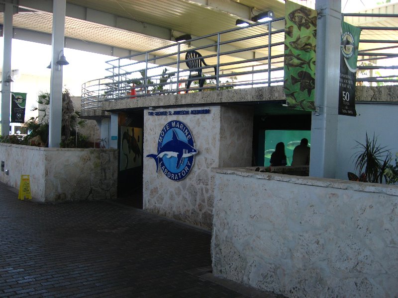 Mote-Marine-Aquarium-Sarasota-FL-055