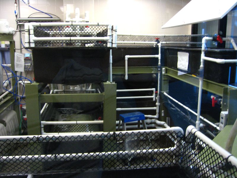 Mote-Marine-Aquarium-Sarasota-FL-077