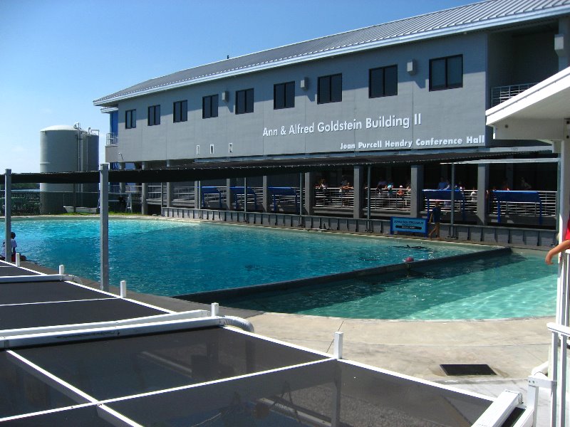 Mote-Marine-Aquarium-Sarasota-FL-082