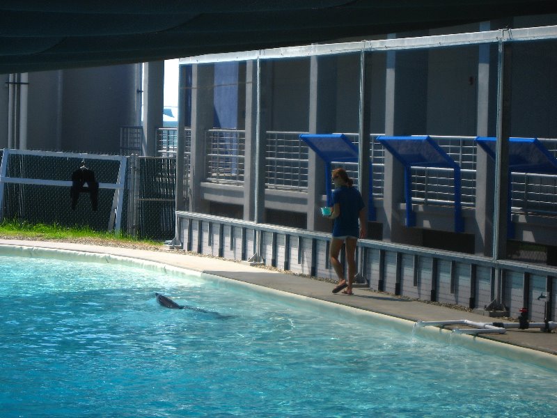 Mote-Marine-Aquarium-Sarasota-FL-083
