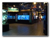 Mote-Marine-Aquarium-Sarasota-FL-005
