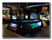 Mote-Marine-Aquarium-Sarasota-FL-017