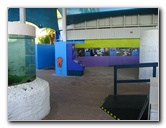 Mote-Marine-Aquarium-Sarasota-FL-041
